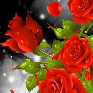 Meet your Posher, Binh